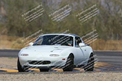 media/Mar-29-2025-Pro Autosports (Sat) [[89b1c017ad]]/3-New Members-Red Group/Session 2 Back Straight Speed Pans/